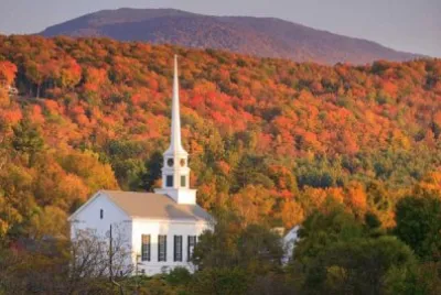 NATUREZA jigsaw puzzle