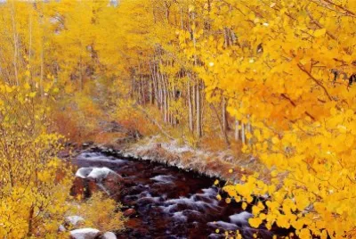 33 jigsaw puzzle