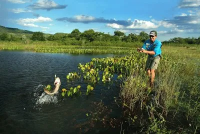 Pesca de TraÃ­ra em aÃ§ude