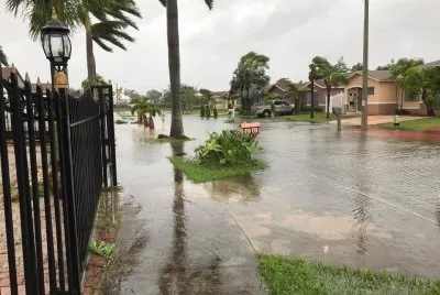 פאזל של miami after that
