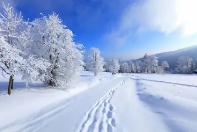 imagens jigsaw puzzle