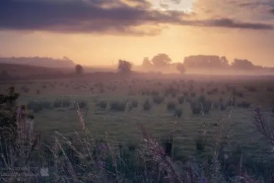 Autumn mist