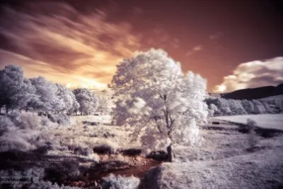 Infrared Autumn jigsaw puzzle