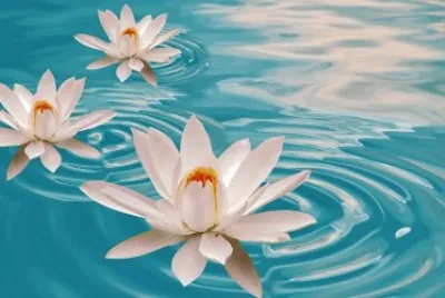 flores de agua