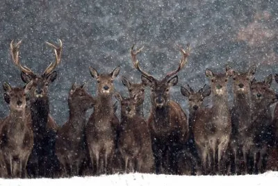 winter