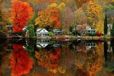 Colores de otoÃ±o jigsaw puzzle