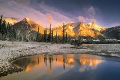 NATUREZA jigsaw puzzle