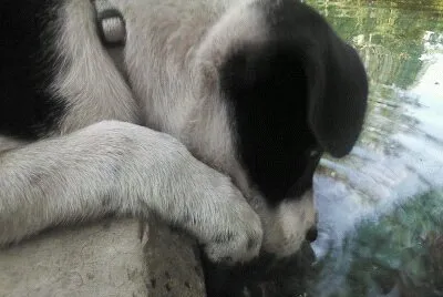 Bella