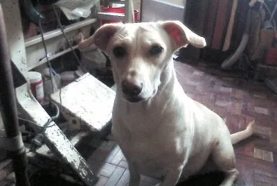 la Alegria de la Casa