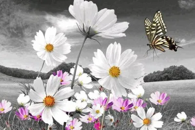 imagem jigsaw puzzle