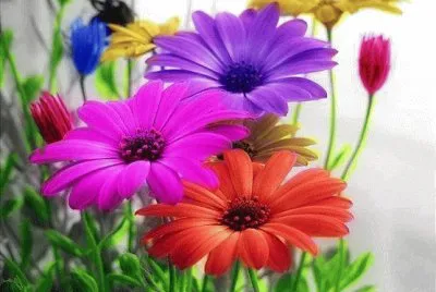 imagem jigsaw puzzle