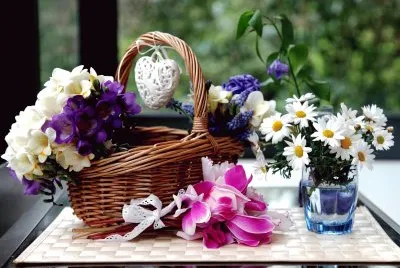 Pretty Cyclamen Flowers-Still Life jigsaw puzzle