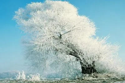 imagem jigsaw puzzle