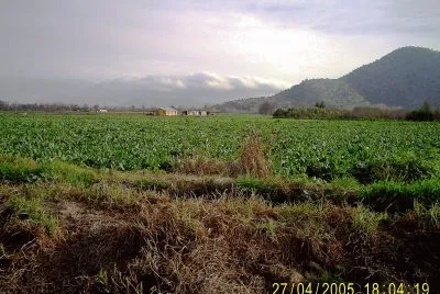 prado