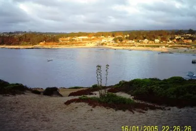 punta de tralca jigsaw puzzle