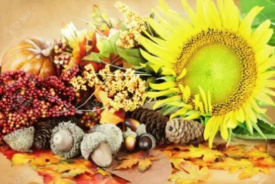 Colorful Autumn Decorations