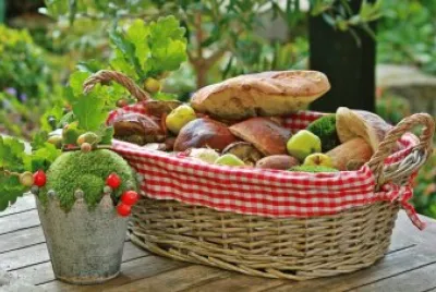 Fresh Autumn Mushrooms