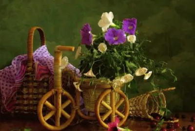 Pretty Purple and White Still Life