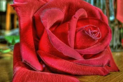 imagem jigsaw puzzle