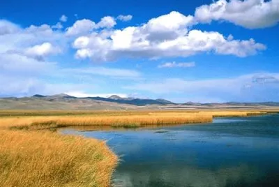 NATUREZA jigsaw puzzle
