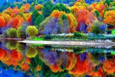 beautiful