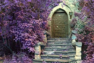 Hidden Castle Entrance jigsaw puzzle