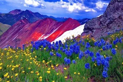 imagem