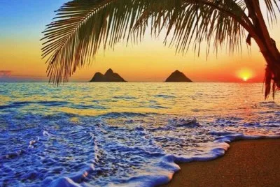 imagem jigsaw puzzle