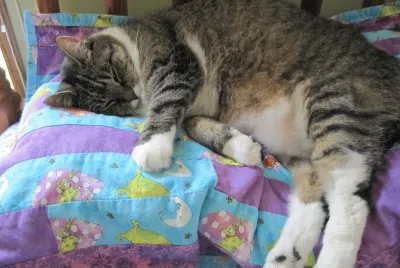 Isabelle asleep