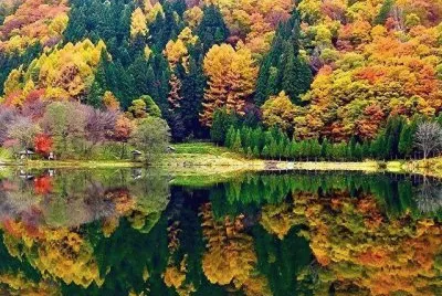 OtoÃ±o