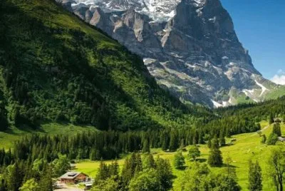 imagem jigsaw puzzle