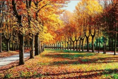 PINTURA OTOÃ‘O