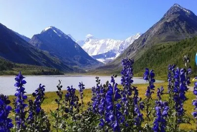 NATUREZA