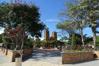 paisaje hermoso en el parque