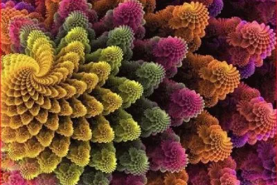 FRACTAL 0