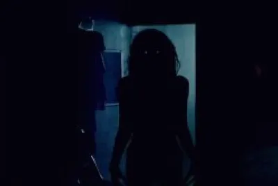 dans le noir jigsaw puzzle