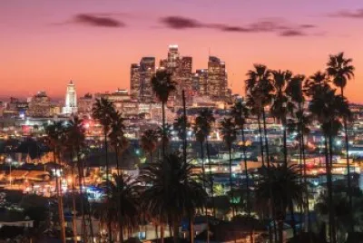 Los Angeles jigsaw puzzle