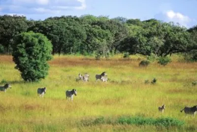 פאזל של Mukuvisi Woodlands Harare