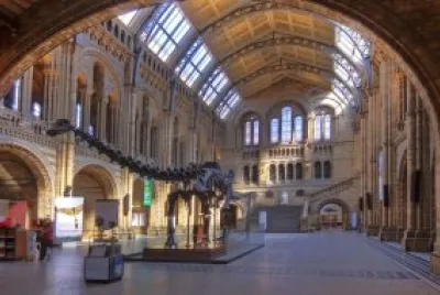 museum of human sciences Harare jigsaw puzzle