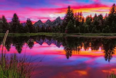 7 jigsaw puzzle