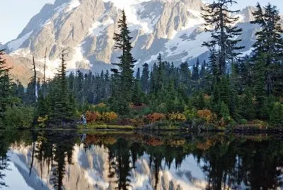 12 jigsaw puzzle