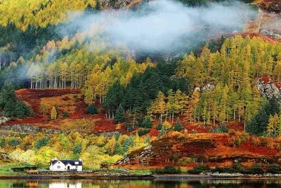 15 jigsaw puzzle