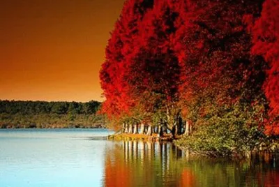 34 jigsaw puzzle