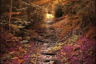 46 jigsaw puzzle