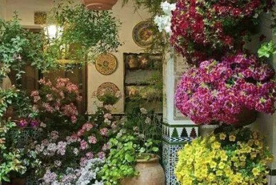 Jardin