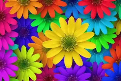 FLORES DE COLORES jigsaw puzzle