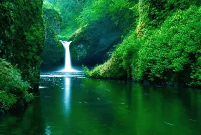La Naturaleza
