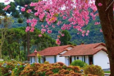 imagem jigsaw puzzle