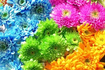 FLORES AZULES... jigsaw puzzle