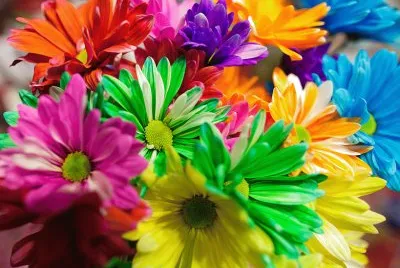 MULTICOLOR. jigsaw puzzle